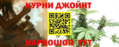 apvp Камышлов